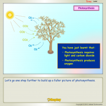 https://www.addestlesson.com/resources/content/products/130506144627_PhotosynthesisNew_E1P5_tn.png